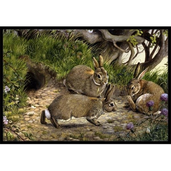 Carolines Treasures BDBA0136MAT Rabbits & the Rabbit Hole Indoor or Outdoor Mat; 18 x 27 BDBA0136MAT - main